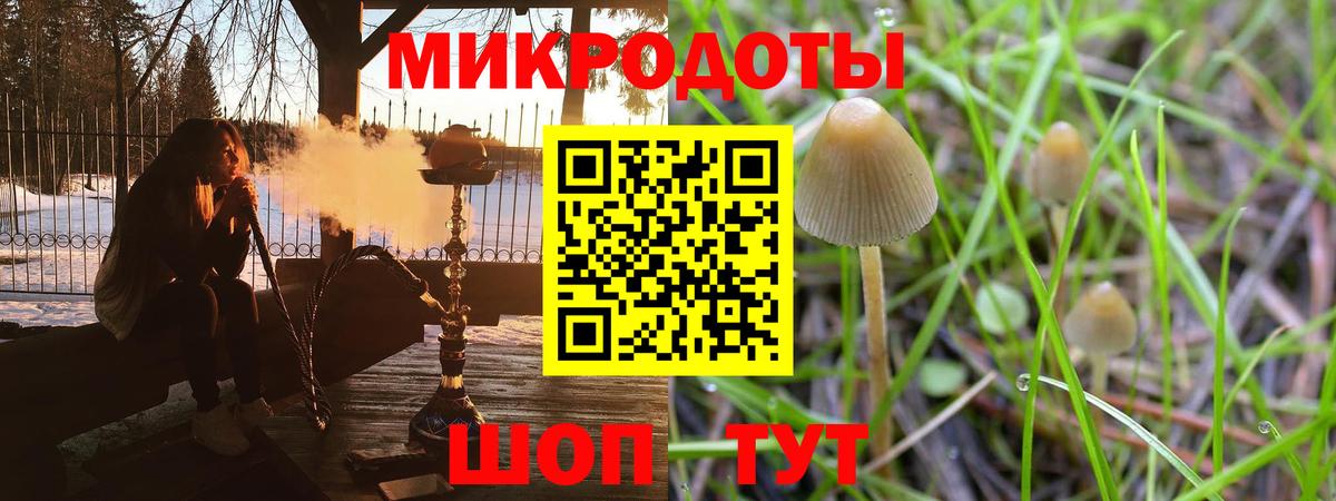Галлюциногенные грибы MAGIC MUSHROOMS  Вход с VPN  Галлюциногенные грибы мухоморы  Дербент 